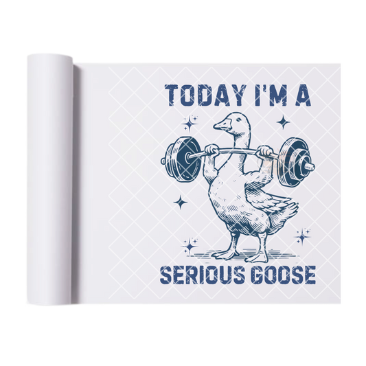 Serious goose DTF transfer-high quality transfer for printing