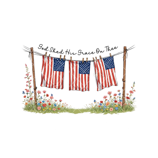 Shed Grace US Flags On Dry Line PNG File