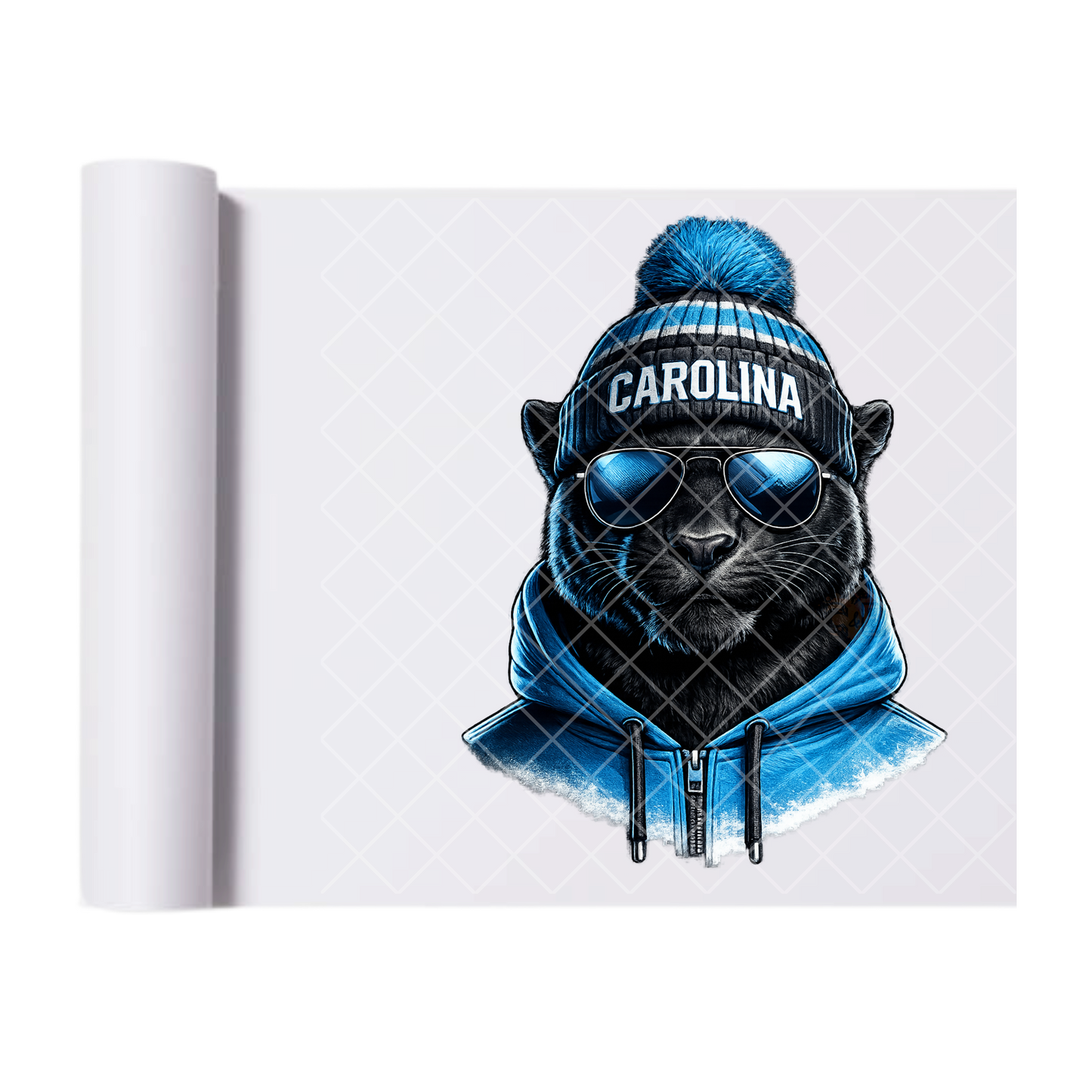 Carolina Football - Direct Print Film Transfer for T-Shirts, Cotton, Polyester & Blends - High-Quality Print