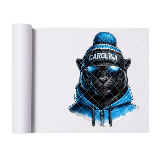 Carolina Football - Direct Print Film Transfer for T-Shirts, Cotton, Polyester & Blends - High-Quality Print