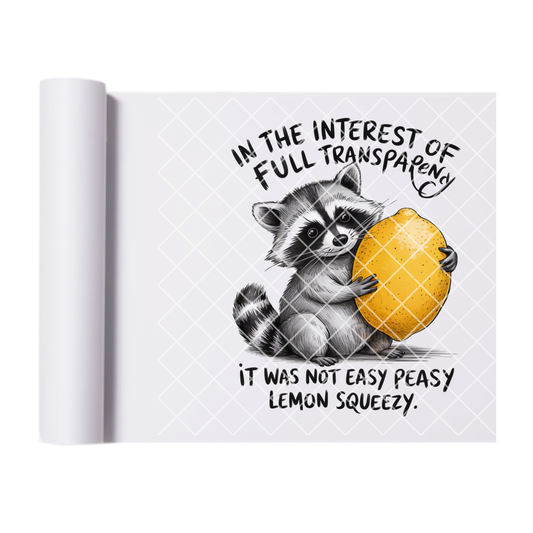 Full transparency Racoon lemon DTF film t shirt transfer