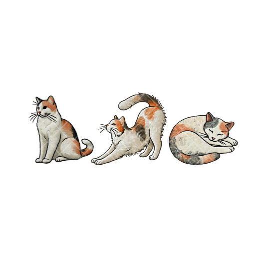 Good Cat PNG