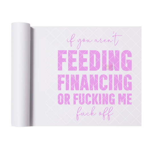 You Aren’t Feeding Or Financing Me - Direct Print Film Transfer for T-Shirts, Cotton, Polyester & Blends - High-Quality Print