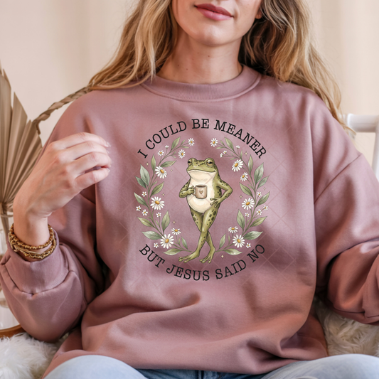 I Could Be Meaner Frog - Premium Graphic T-Shirt for Casual Wear