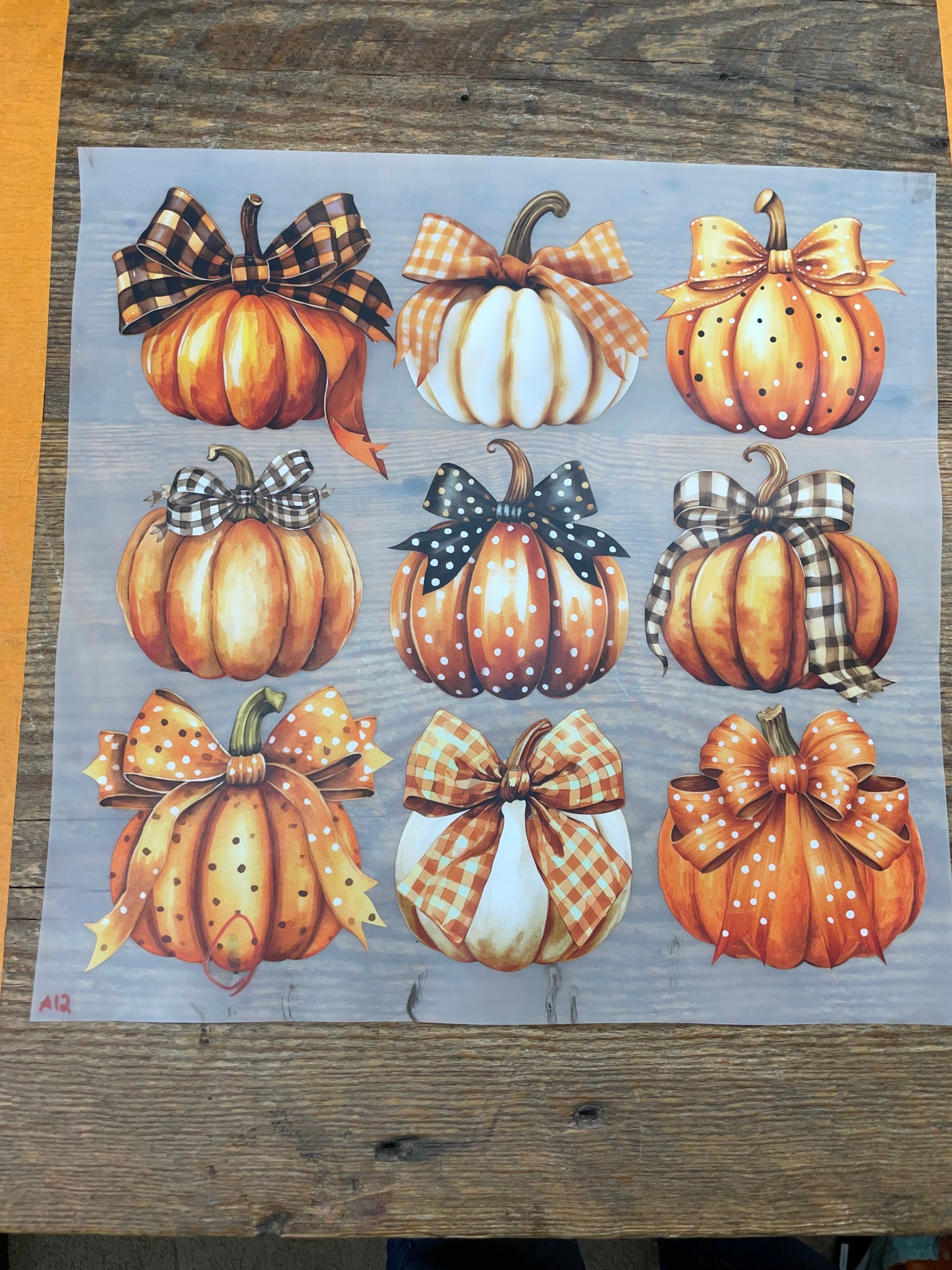 Pumpkins with bows #A12 Discount Print