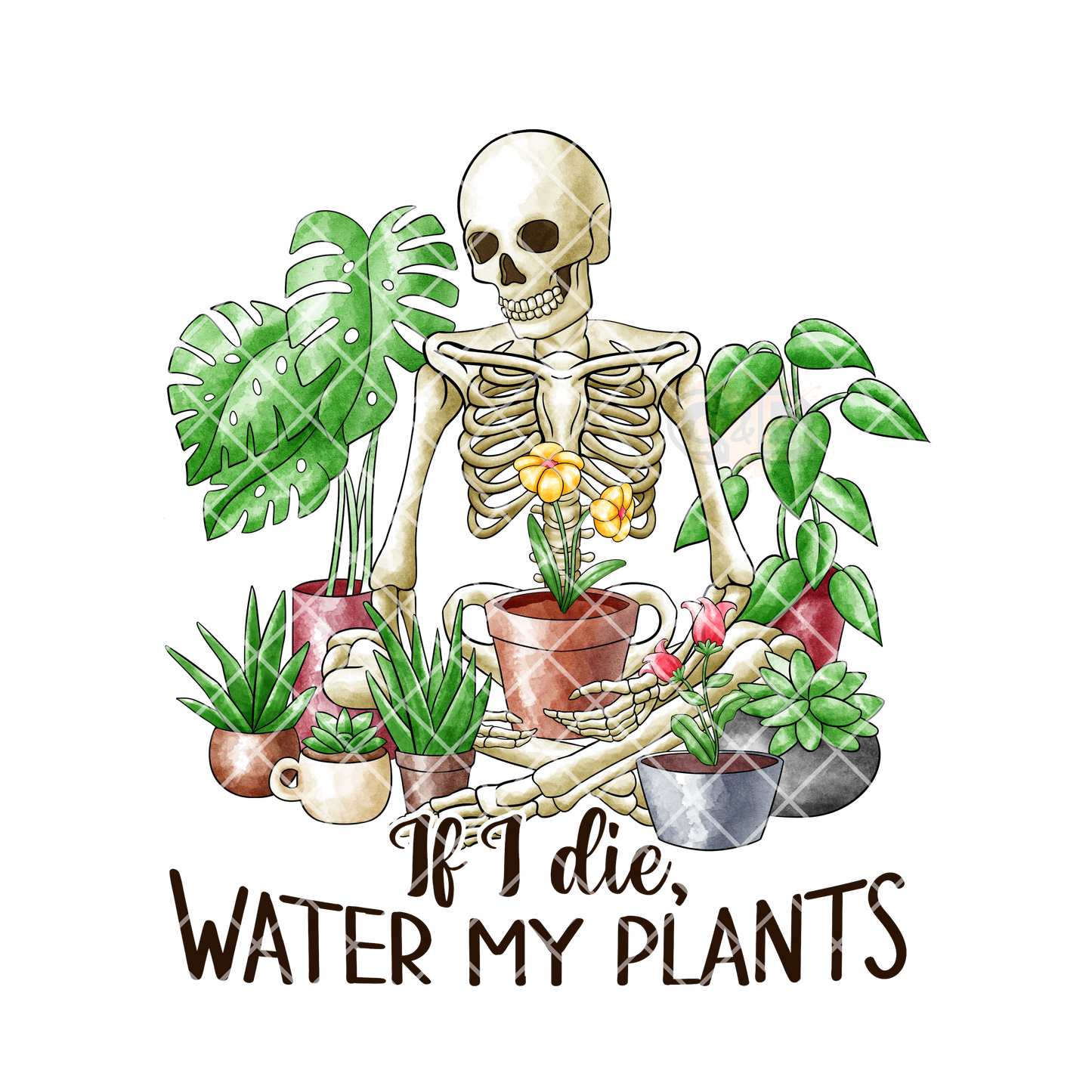 Water my plants PNG