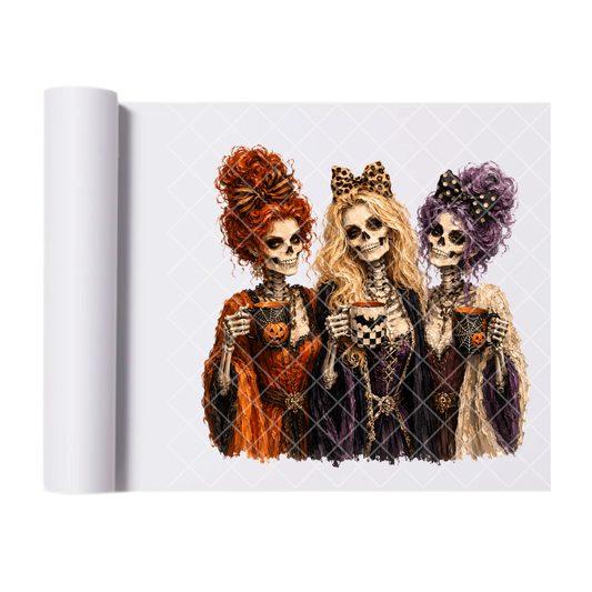 Pocus Skelly Gals - Ready To Press Print Transfer for Apparel, Cotton, Polyester & Blends - High-Quality Print- Commercial Grade