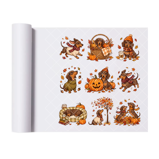 Dachshunds Fall Leaves and Pumpkins - Ready To Press Print Transfer for Apparel, Cotton, Polyester & Blends - High-Quality Print- Commercial Grade