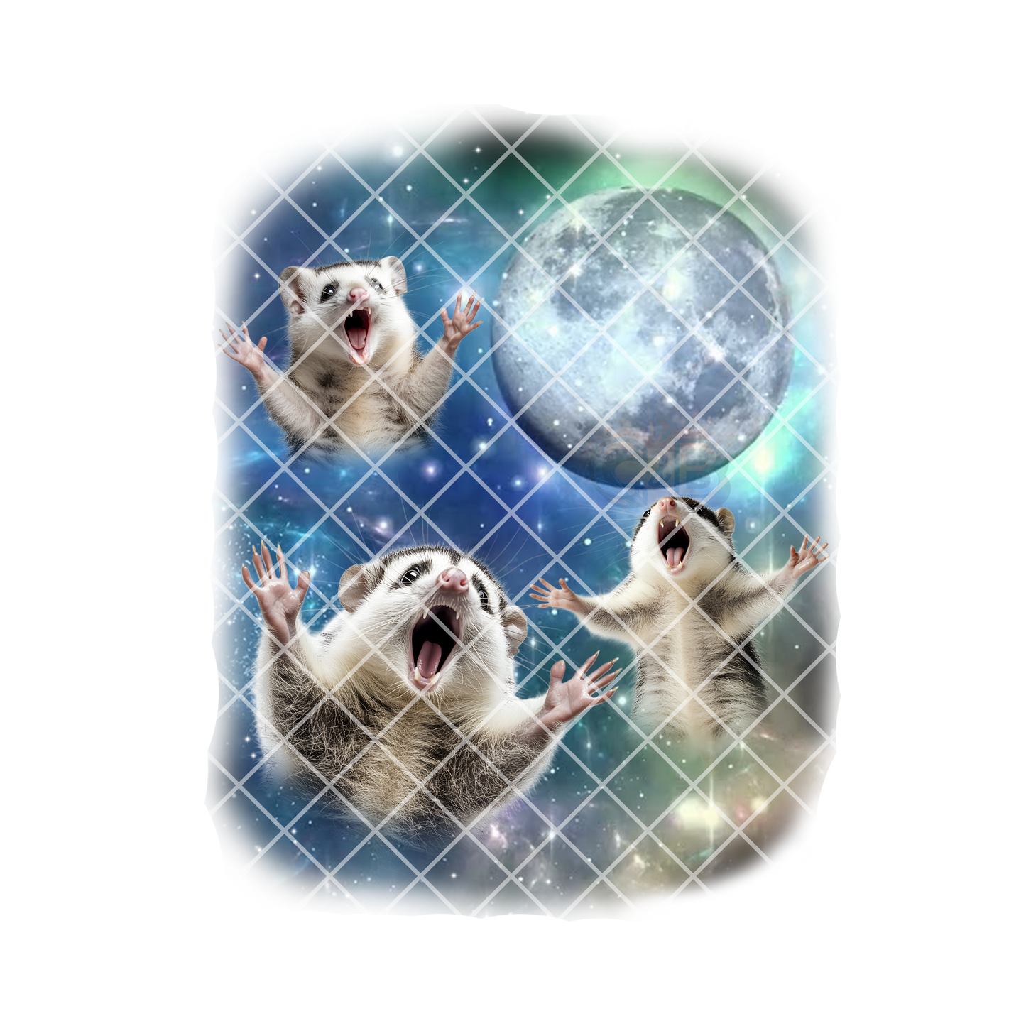 Opossum moon glam PNG