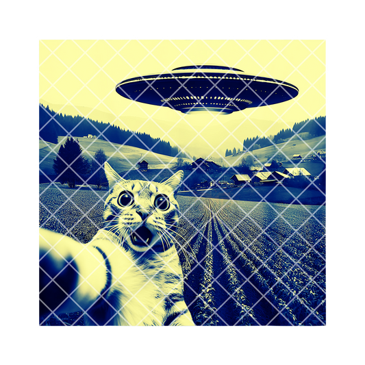 Cat selfie with ufo PNG