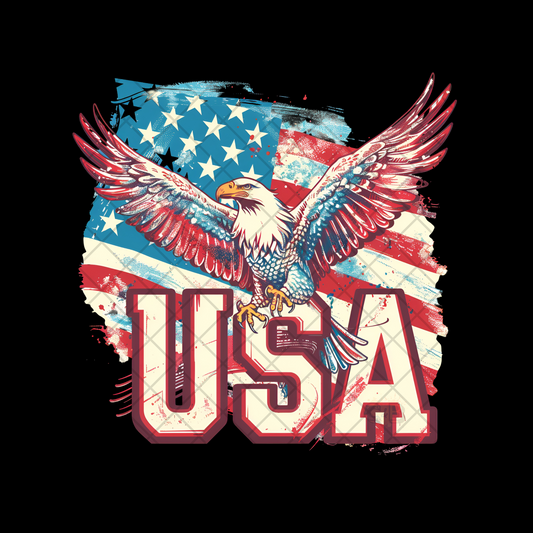 USA Eagle Paint America Stripes PNG