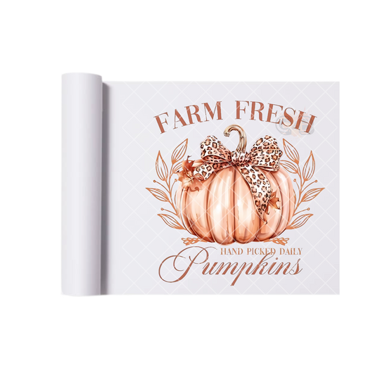 Farm Fresh Pumpkins DTF Transfer