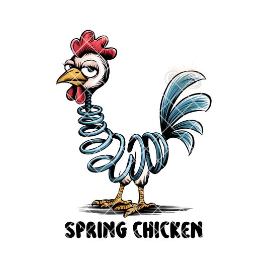 Spring chicken chicken PNG