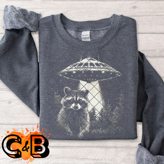 Raccoon abduction T-Shirt