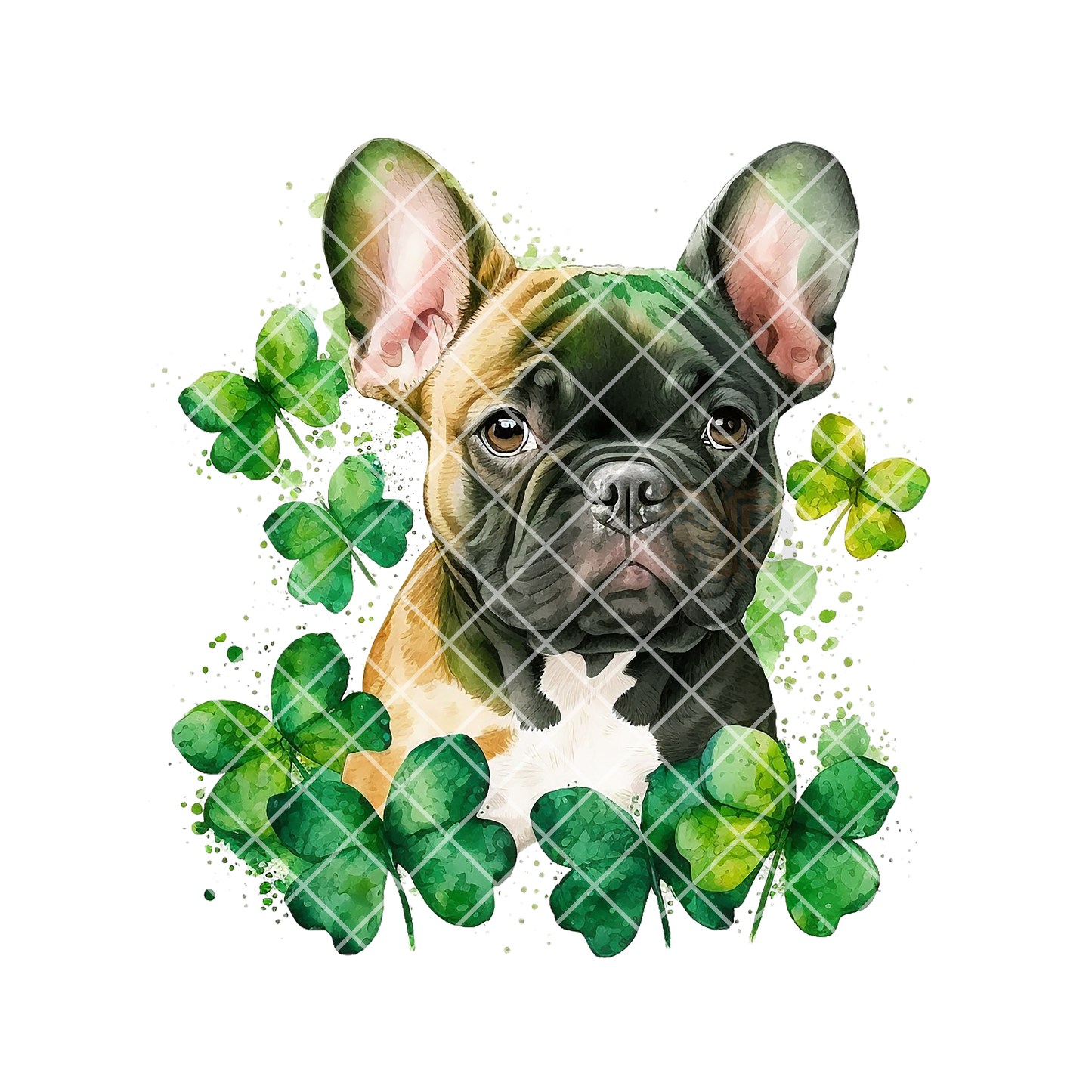 Frenchie patch of clovers PNG
