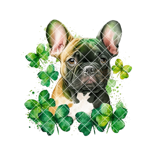 Frenchie patch of clovers PNG