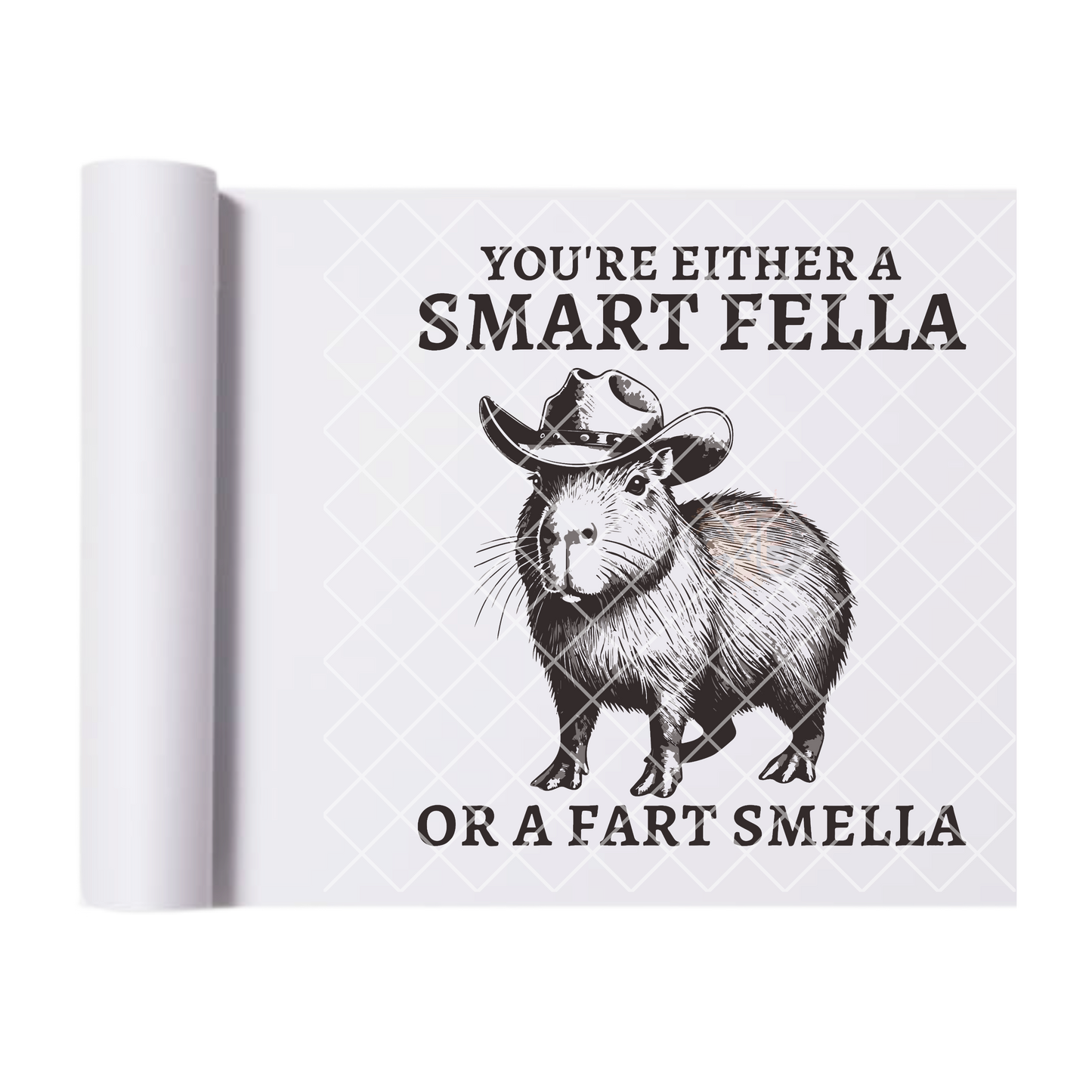 Smart fella DTF transfer-high quality transfer for printing