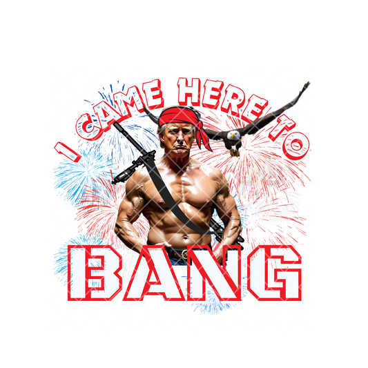 I Came Here To Bang Trump SET PNG