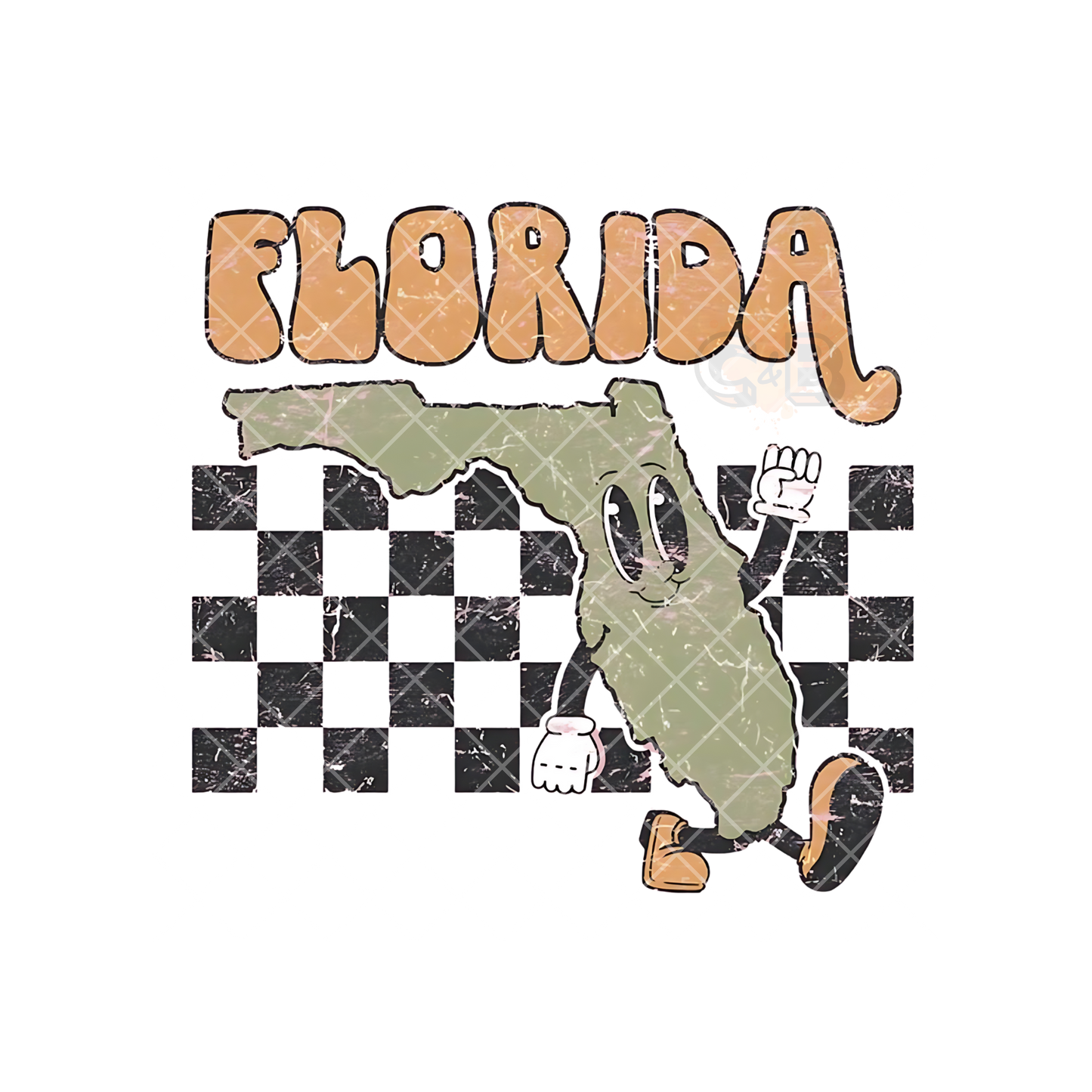 Checkered Florida PNG