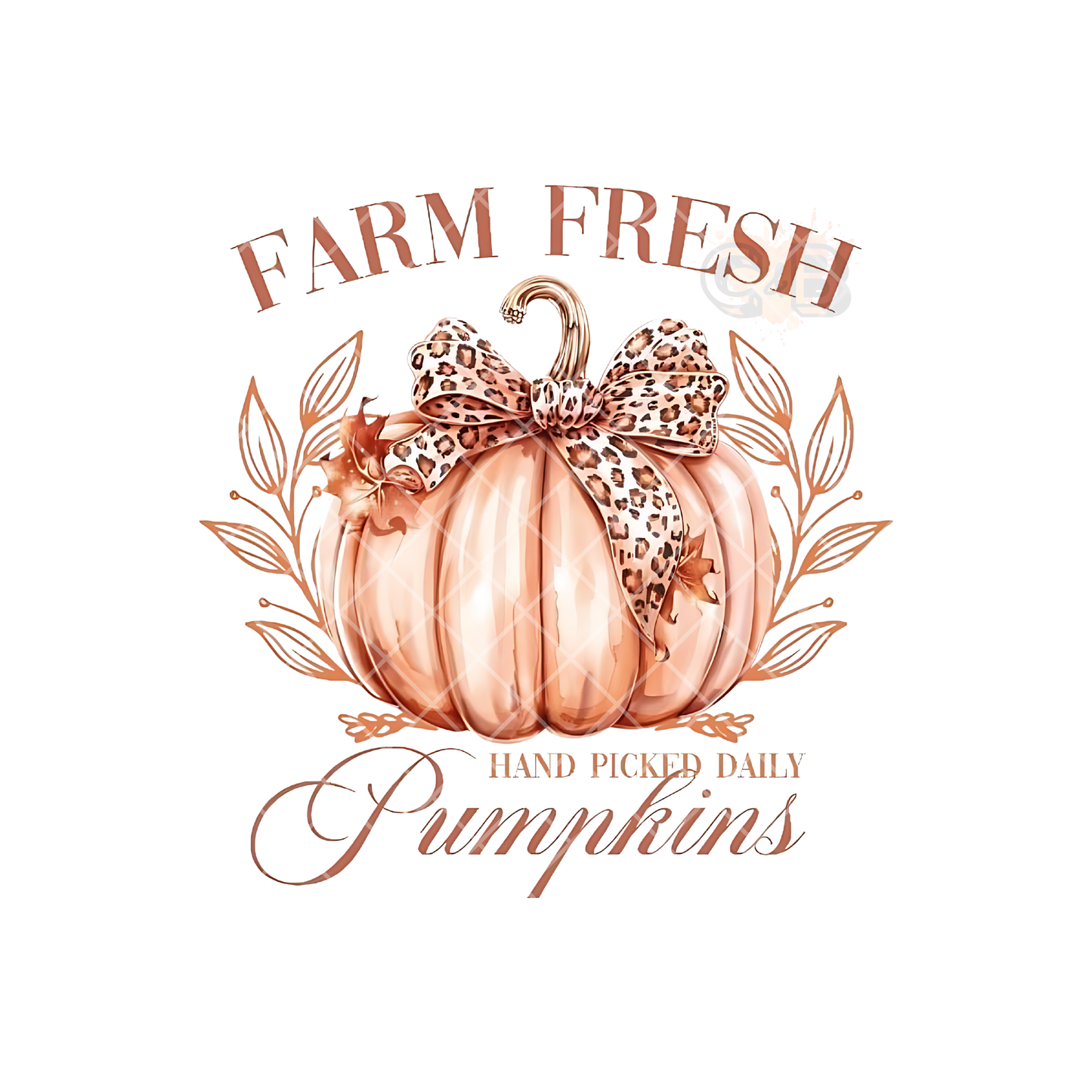 Farm Fresh Pumpkins PNG