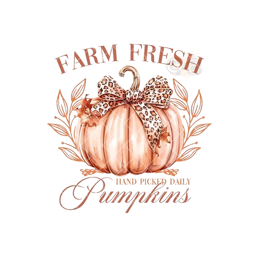 Farm Fresh Pumpkins PNG