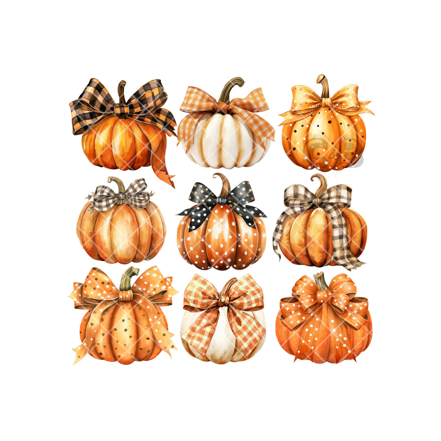 Farmhouse Pumpkin Collection PNG