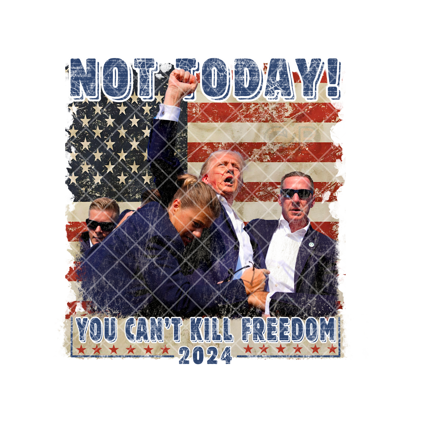 You Can't Kill Freedom Trump PNG