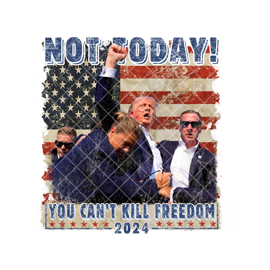 You Can't Kill Freedom Trump PNG