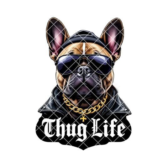 Thug life frenchie PNG