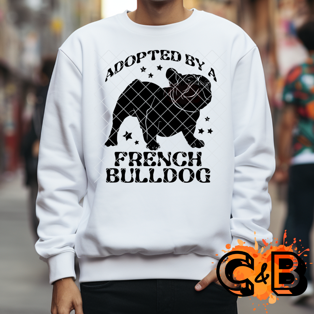 Adopted by a French bulldog PNG