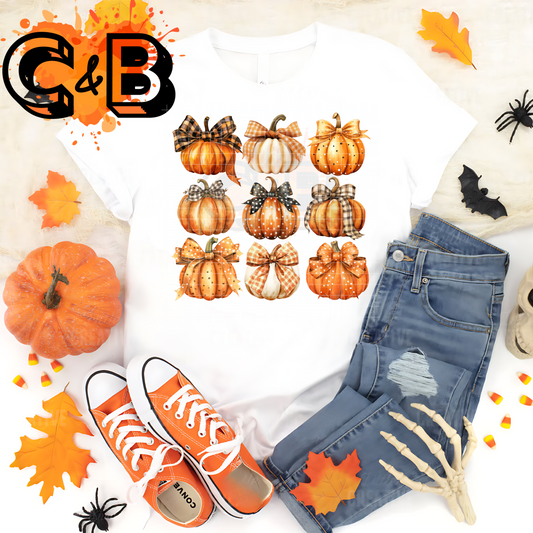 Farmhouse Pumpkin Collection T-Shirt